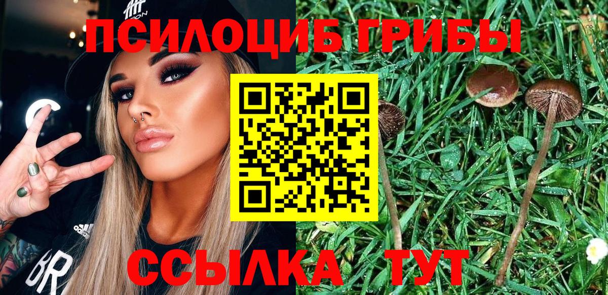 Кудымкар  Галлюциногенные грибы мухоморы  Вход с VPN 
