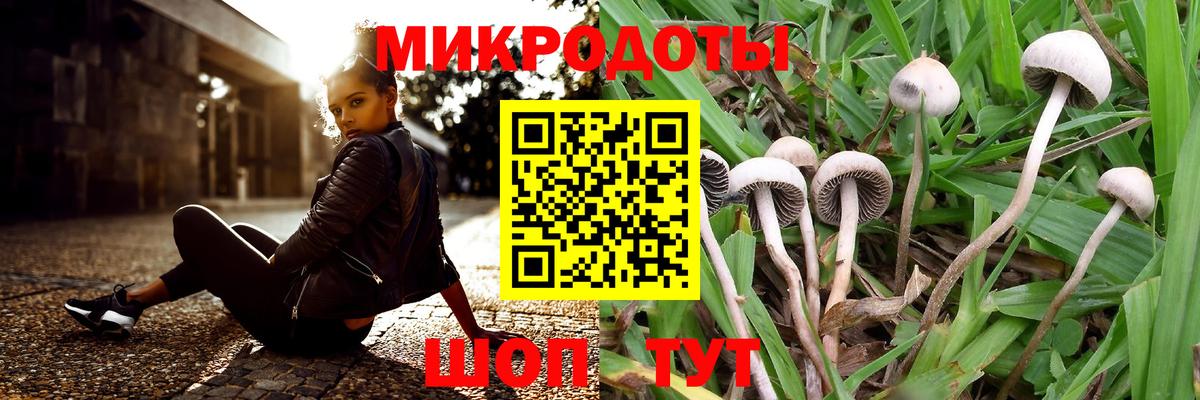 Псилоцибиновые грибы прущие грибы Кудымкар